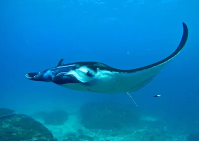 Bali Nusa Penida Yacht GB 17