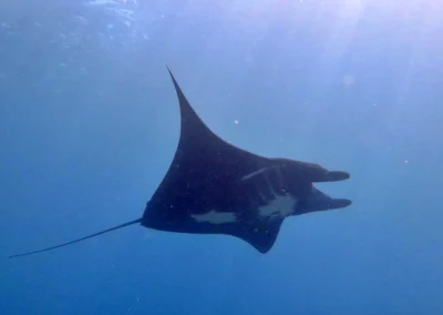 Bali Nusa Penida Yacht GB 18