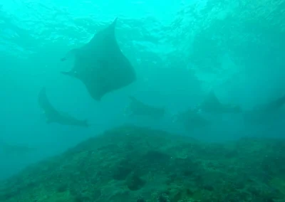 Bali Nusa Penida Yacht GB 19