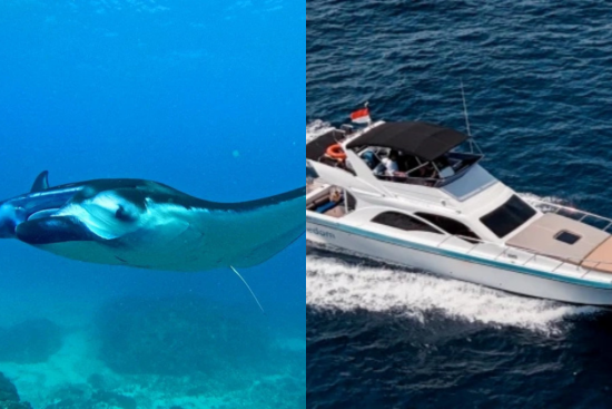 Bali Nusa Penida Private Yacht with Manta Point Itinerary M2 Bali Nusa Penida Private Yacht with Manta Point Itinerary